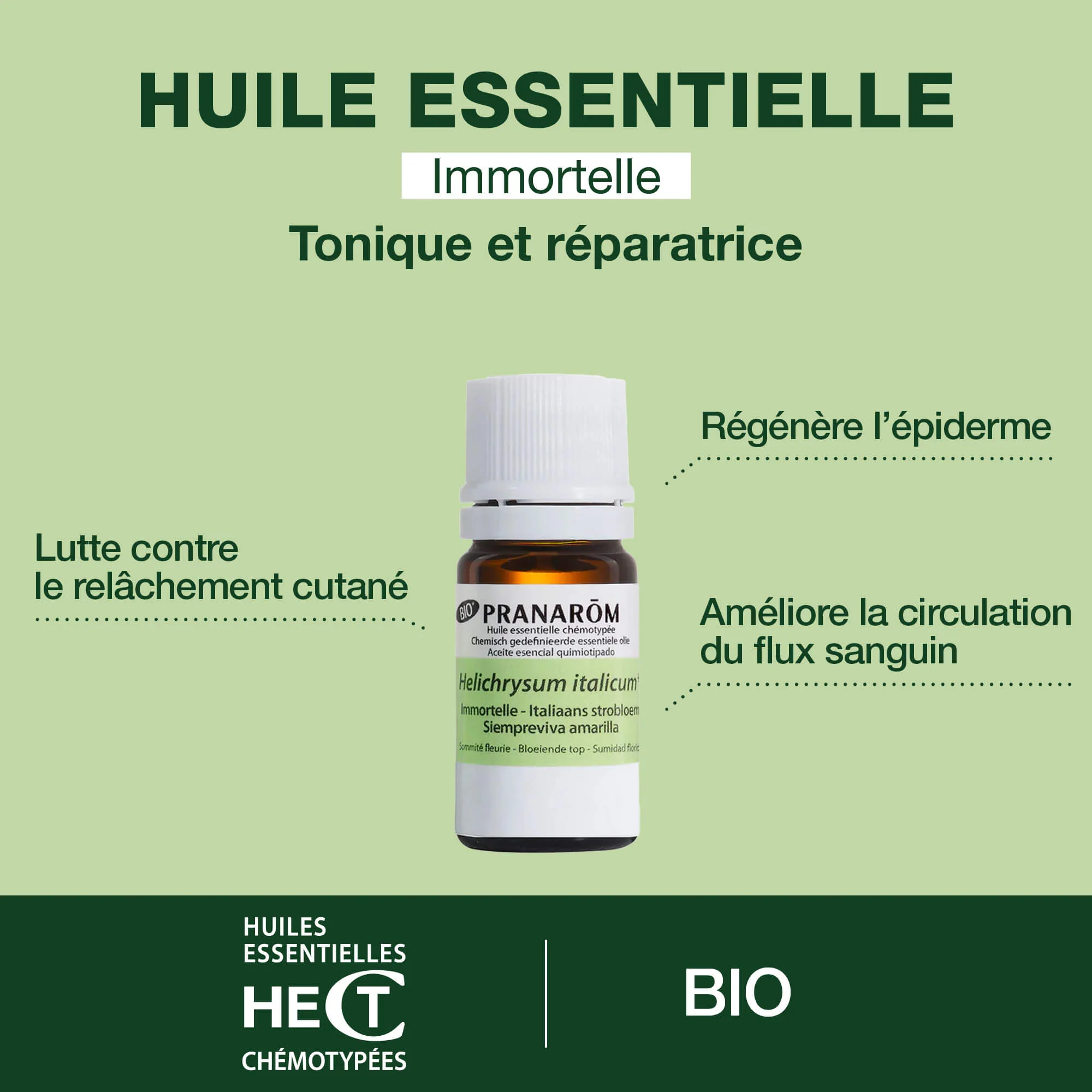 Huile Essentielle d'Immortelle (Hélichryse) - Bio - Image 2