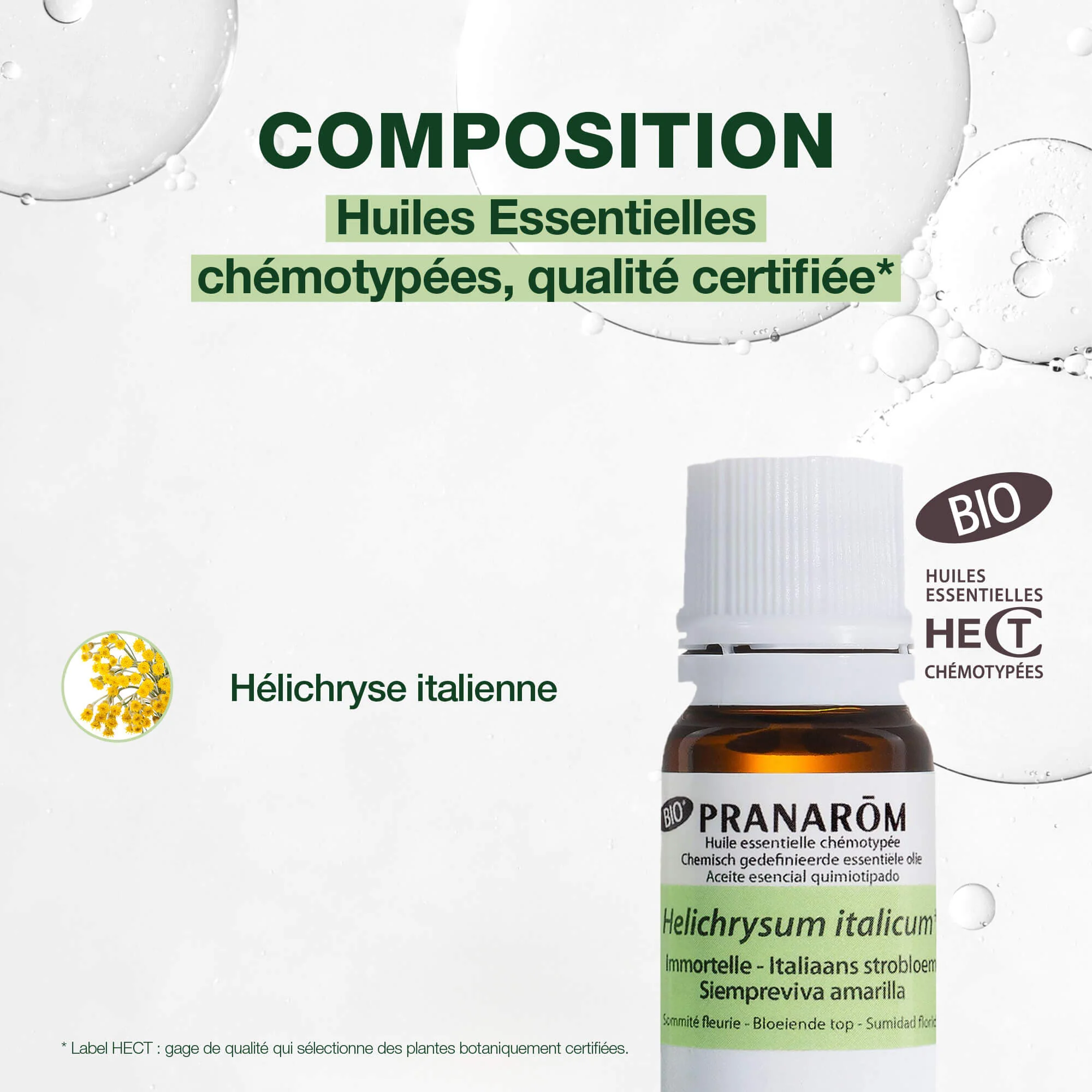 Huile Essentielle d'Immortelle (Hélichryse) - Bio - Image 3