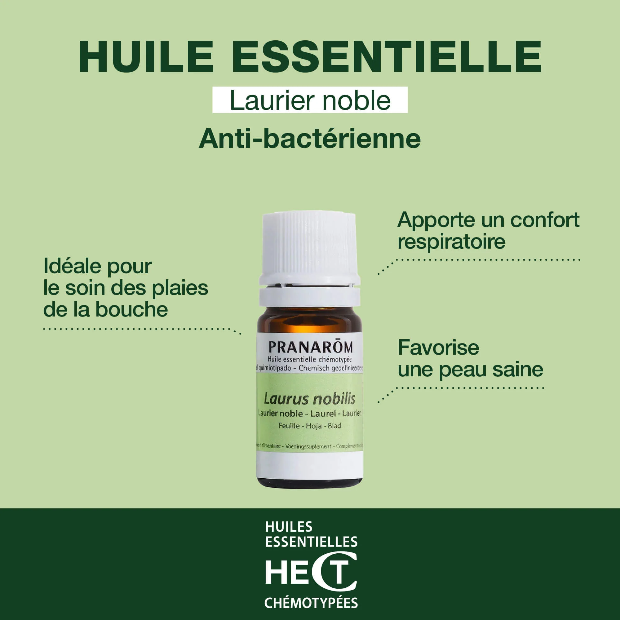 Huile Essentielle de Laurier noble - Image 2