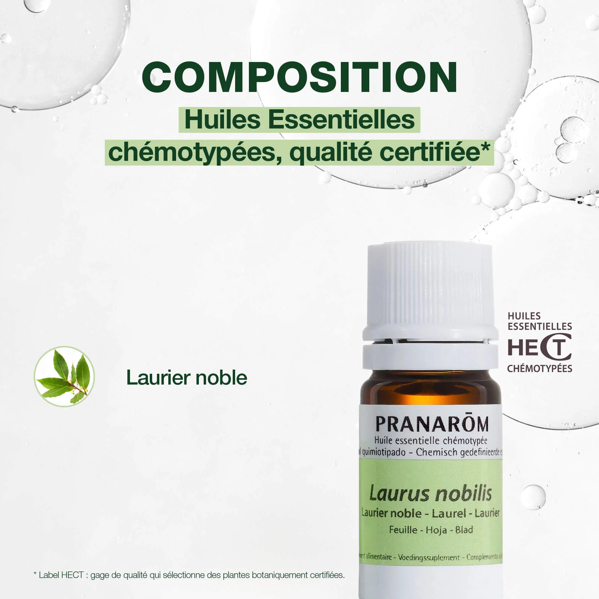 Huile Essentielle de Laurier noble - Image 4