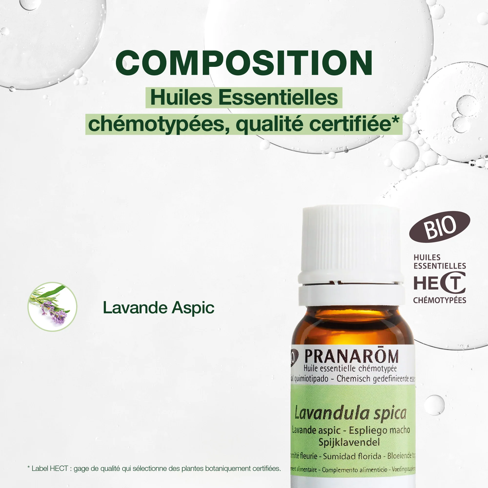Huile Essentielle de Lavande aspic - Bio - Image 3