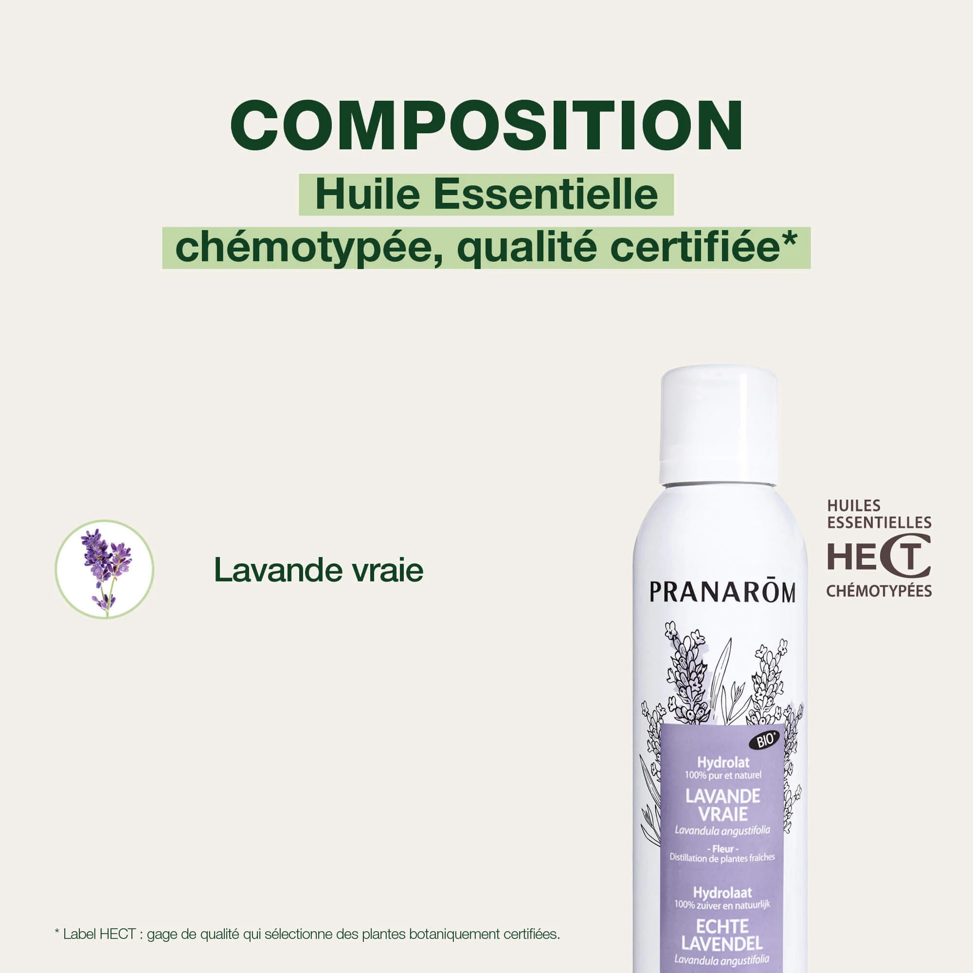 Hydrolat de Lavande Vraie - Bio - Image 4