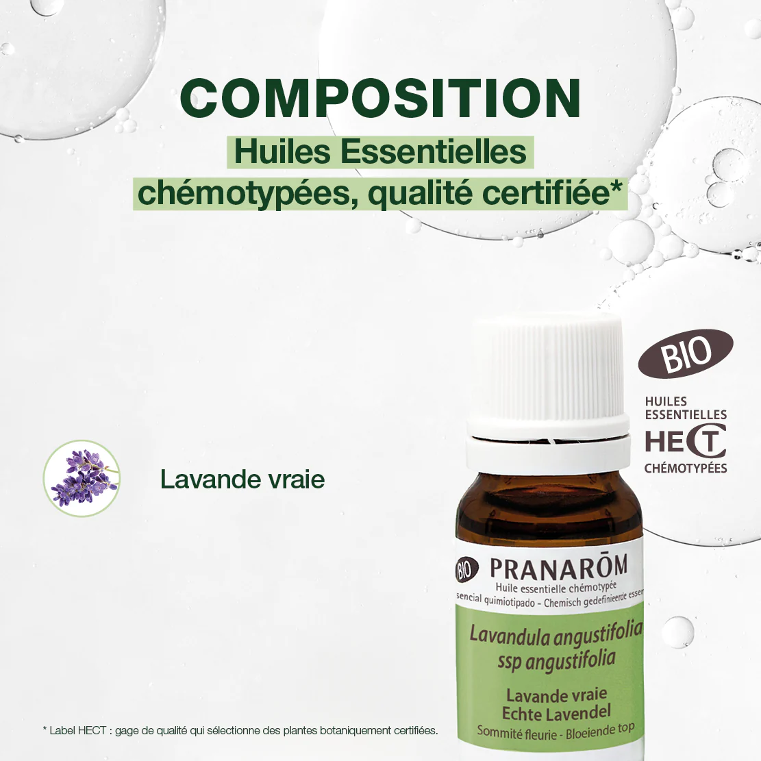 Huile Essentielle de Lavande vraie - Bio - Image 4