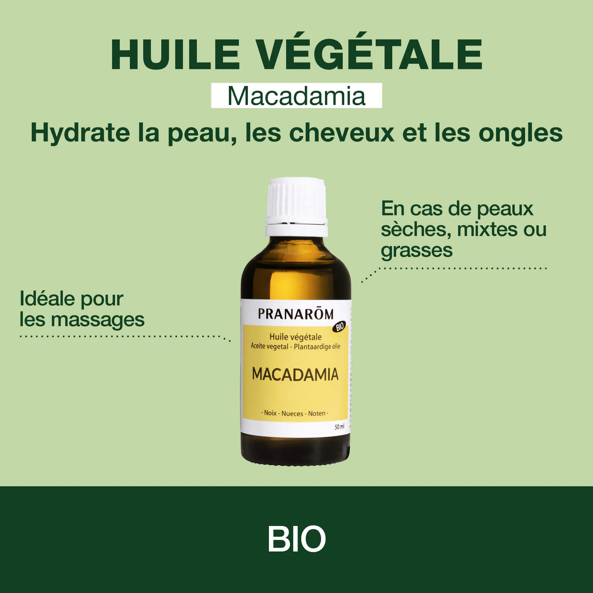 Huile Végétale de Macadamia - Bio - Image 2