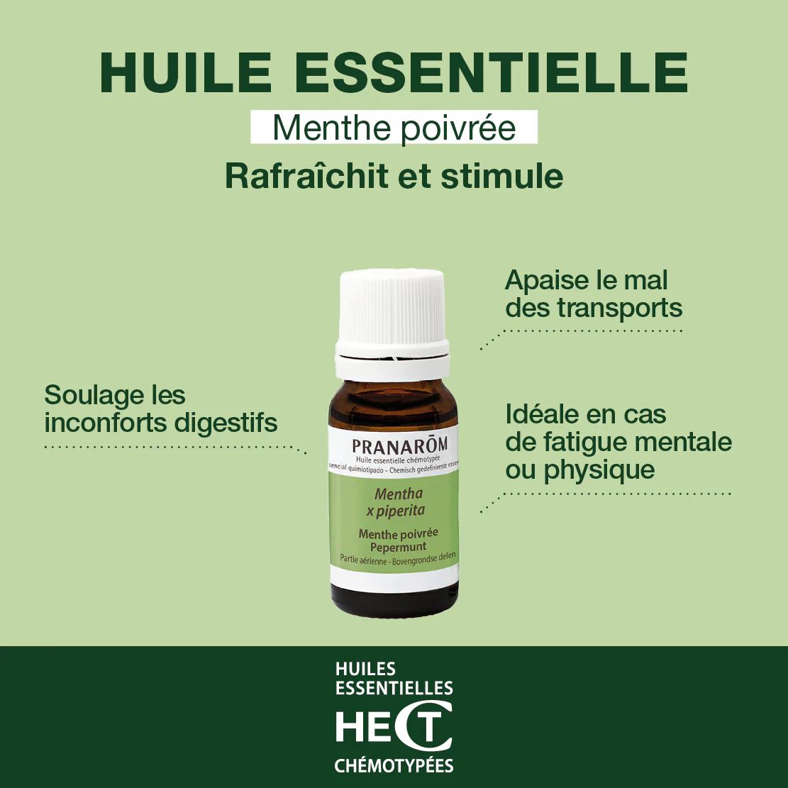 Huile Essentielle de Menthe poivrée - Image 2