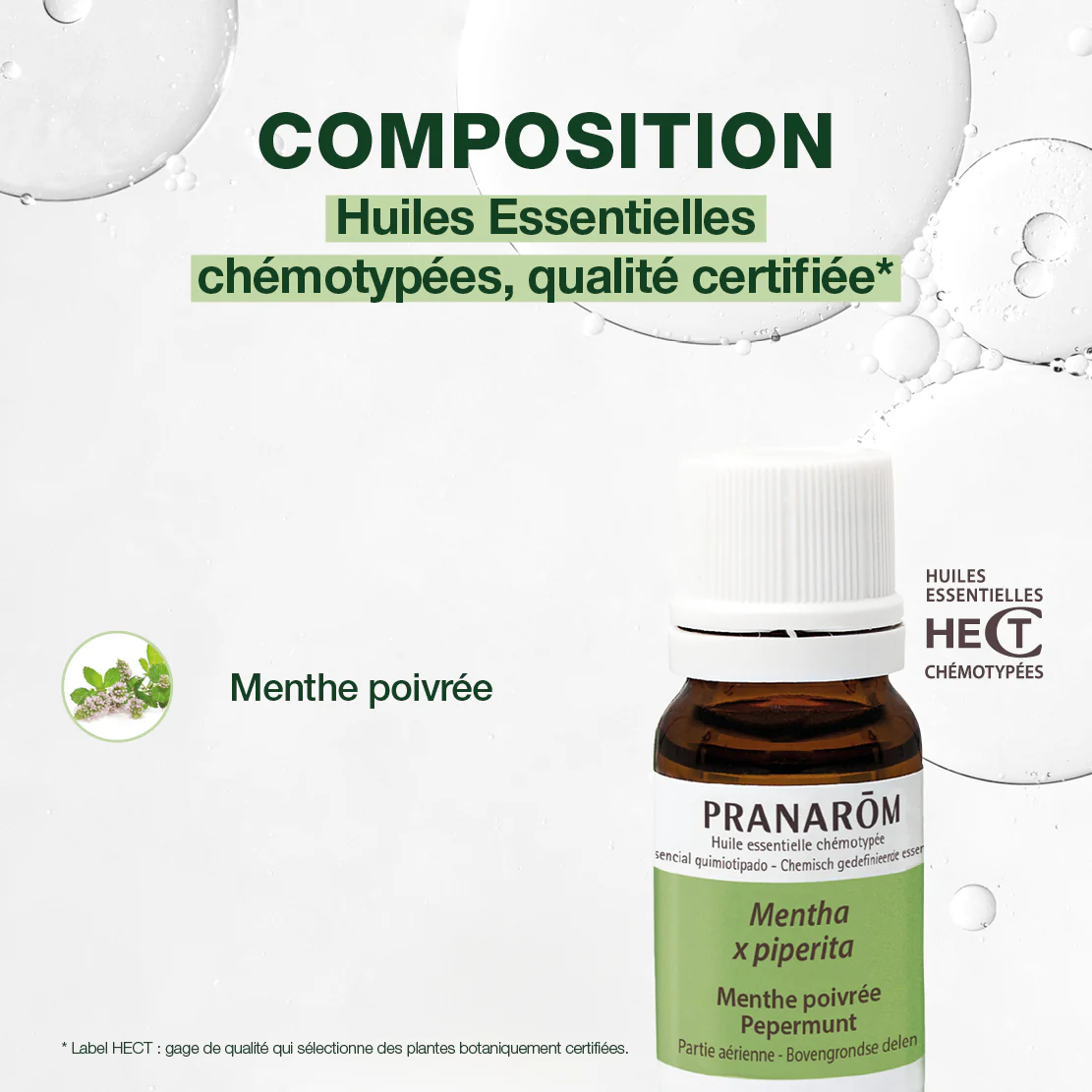 Huile Essentielle de Menthe poivrée - Image 4