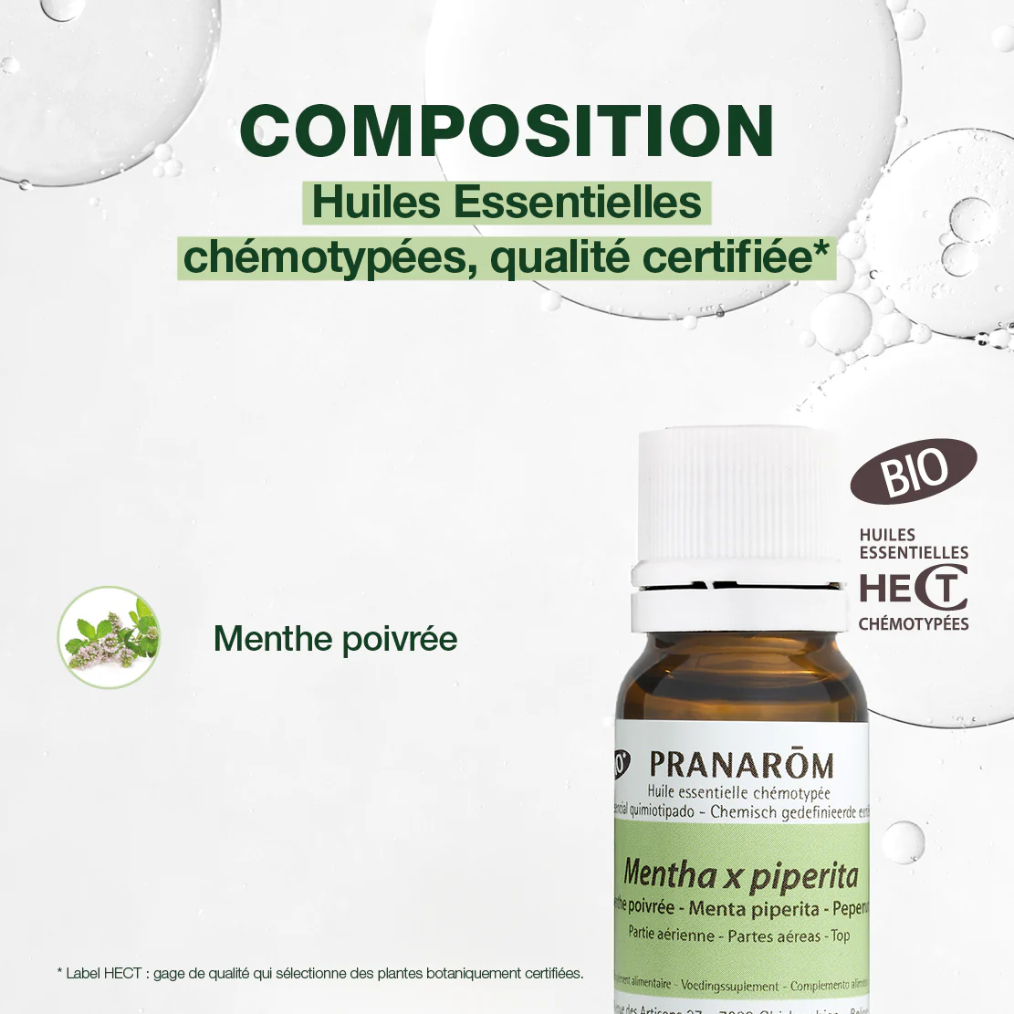Huile Essentielle de Menthe poivrée - Bio - Image 4