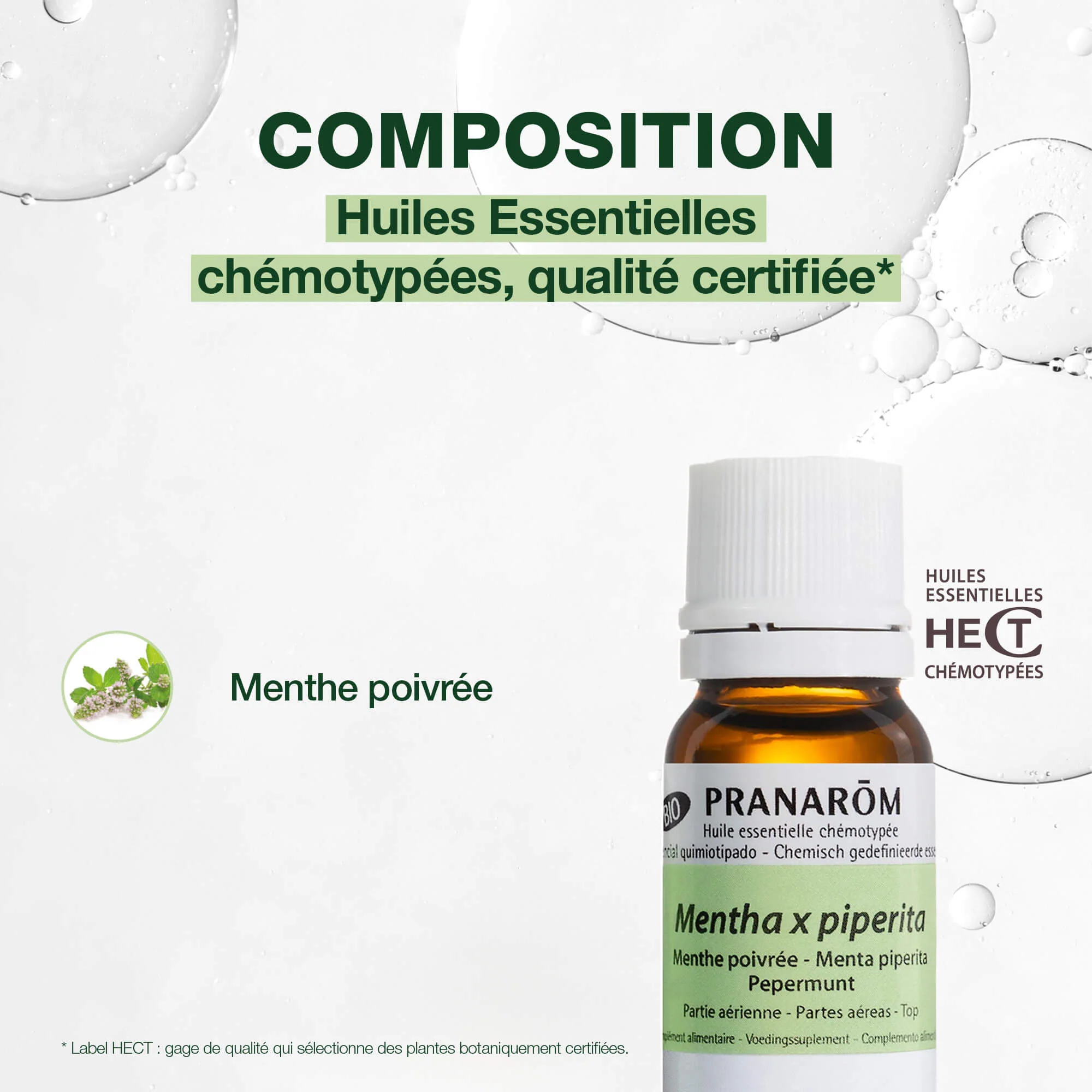 Huile Essentielle de Menthe poivrée - Bio - Image 3