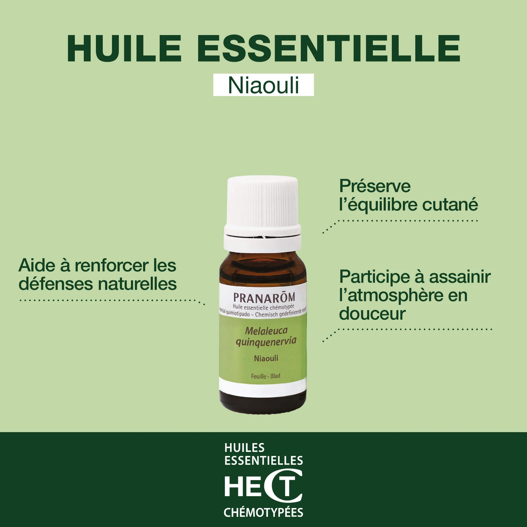 Huile Essentielle de Niaouli - Image 2