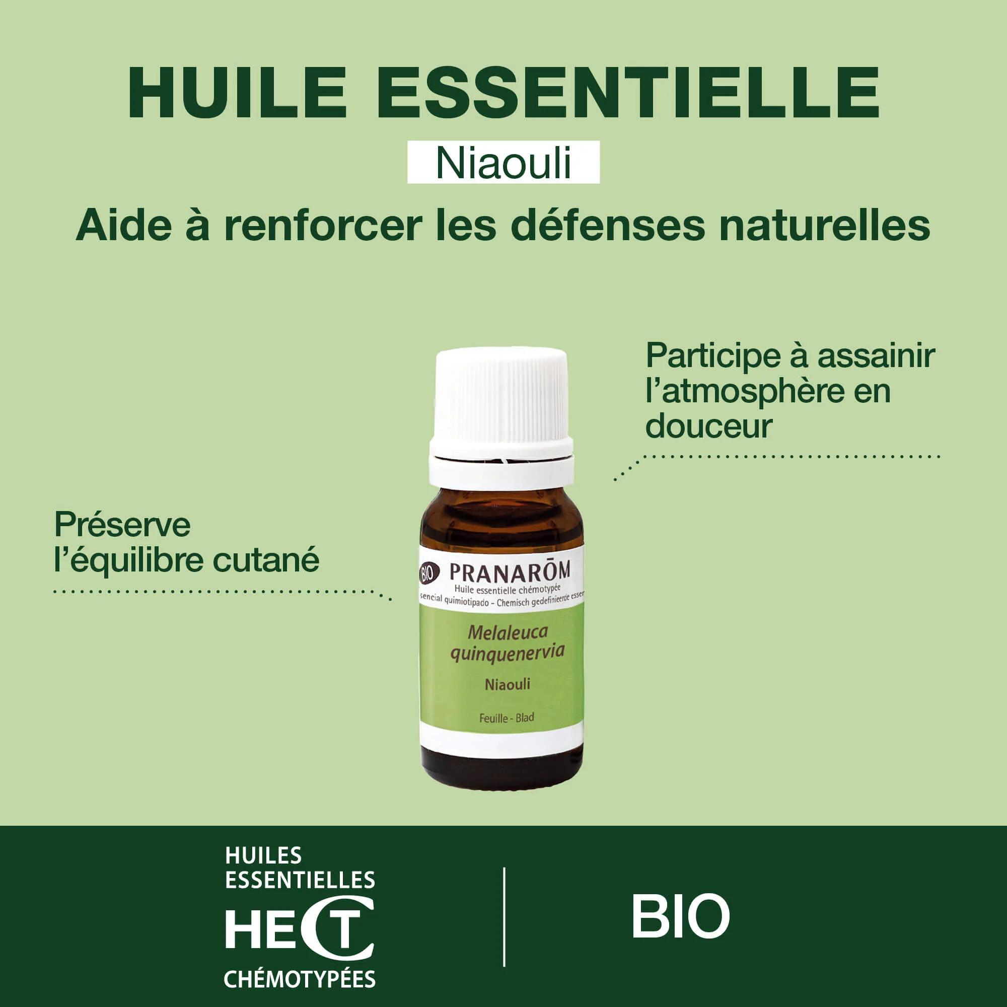 Huile Essentielle de Niaouli - Bio - Image 2