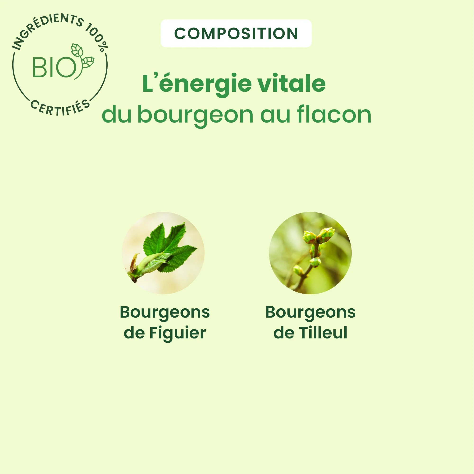 Complexe sommeil Noctigem - Bio - Image 4
