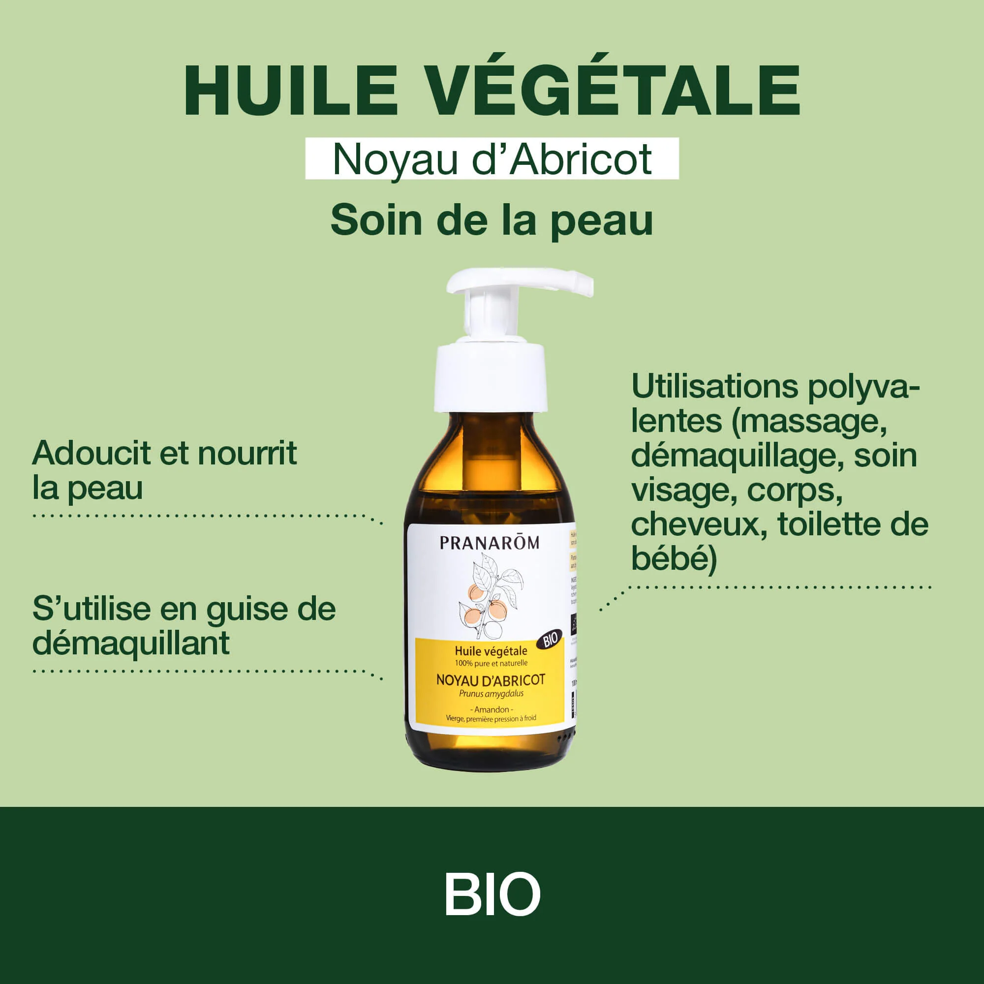 Huile Végétale de Noyau d'abricot vierge - Bio - Image 2