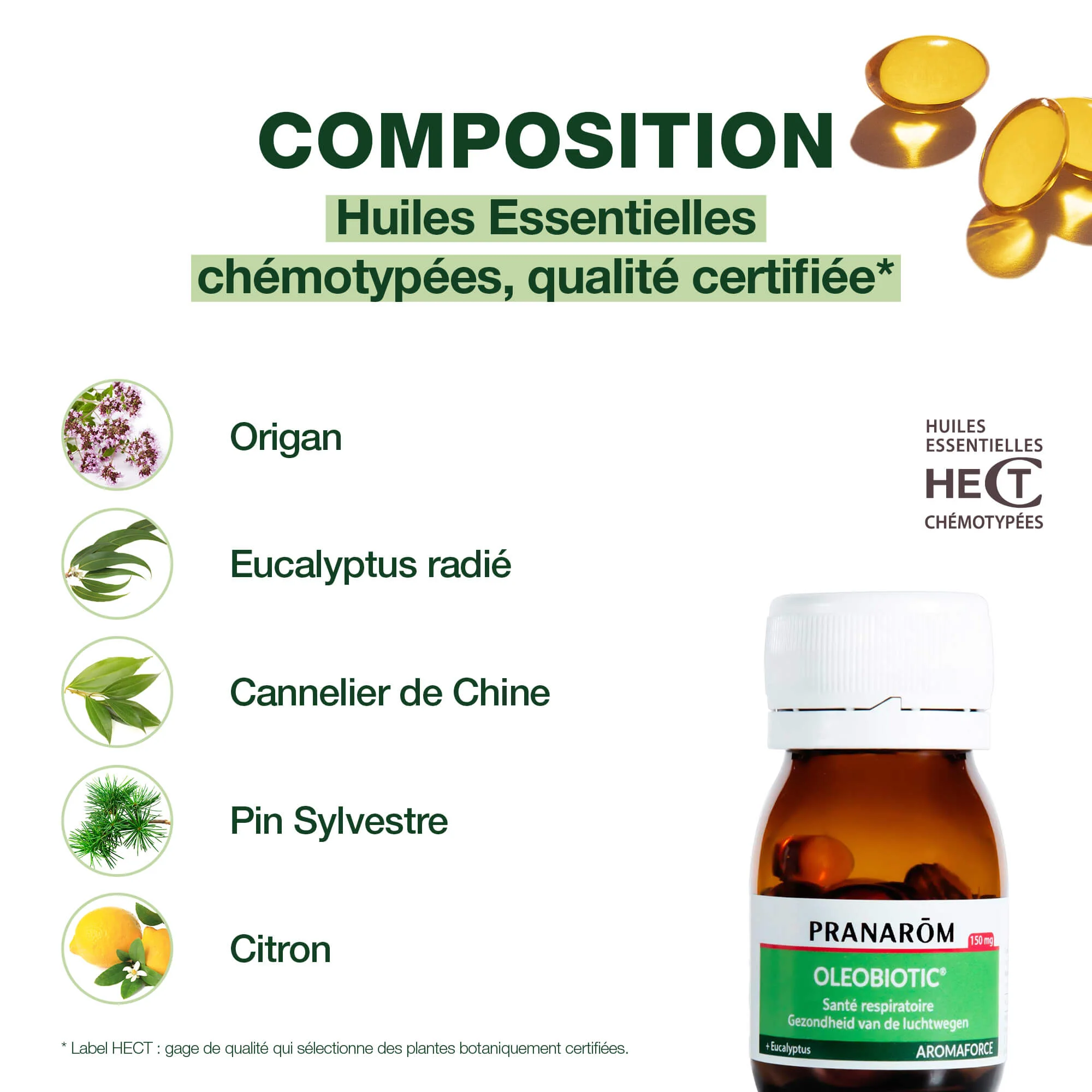 Oleobiotic® Santé respiratoire* - Image 7