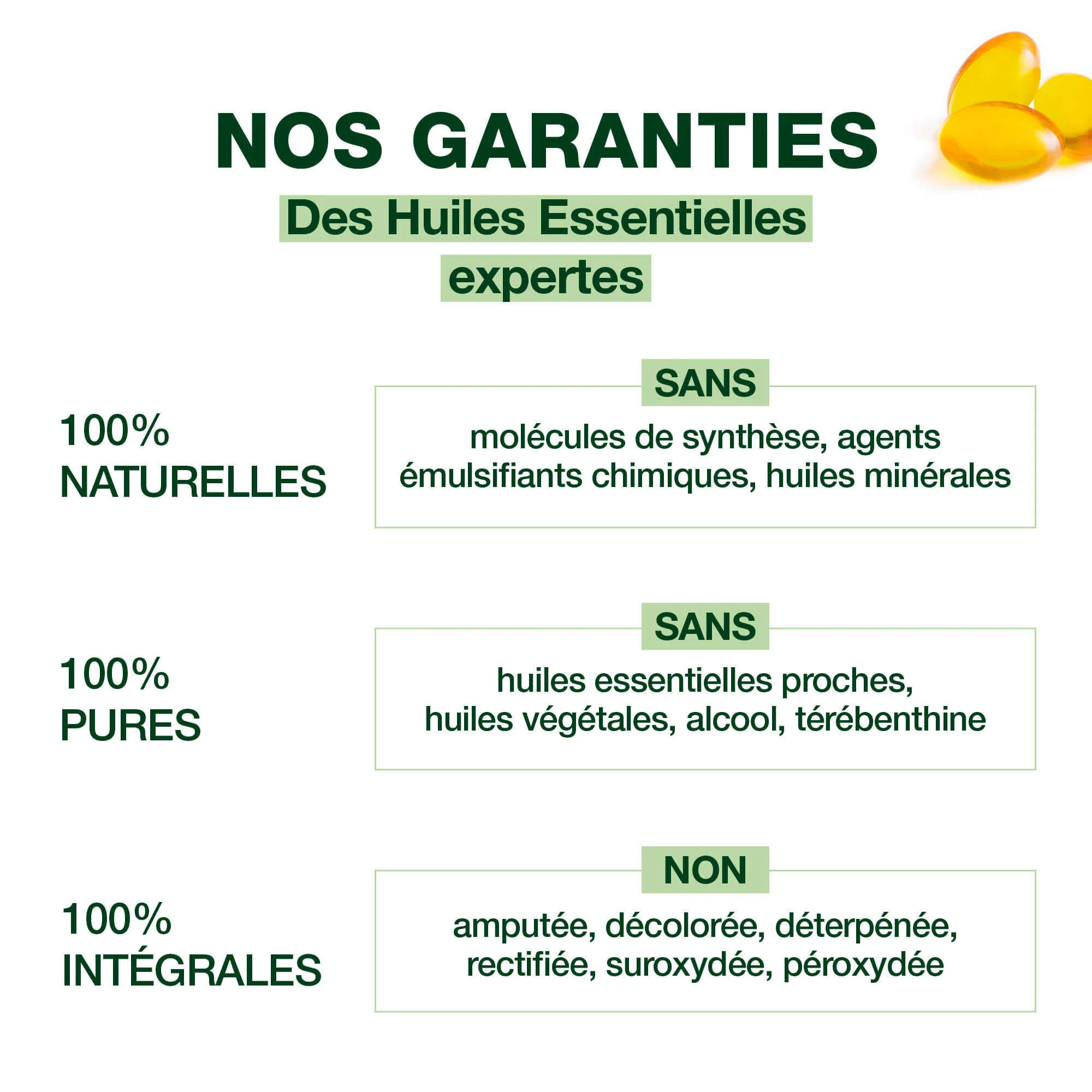 Capsules Origan + - Bio - Image 4