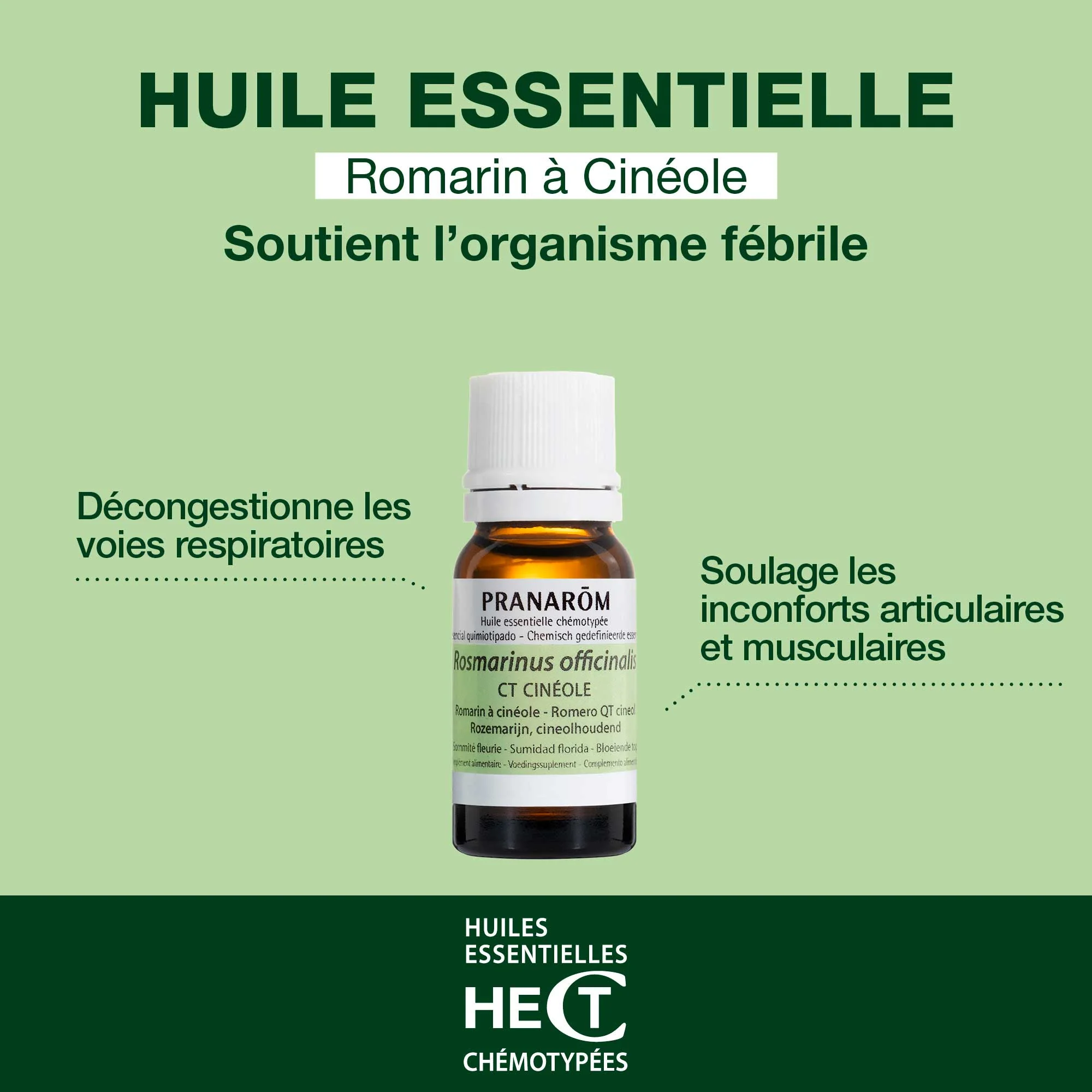 Huile Essentielle de Romarin à cinéole - Image 2