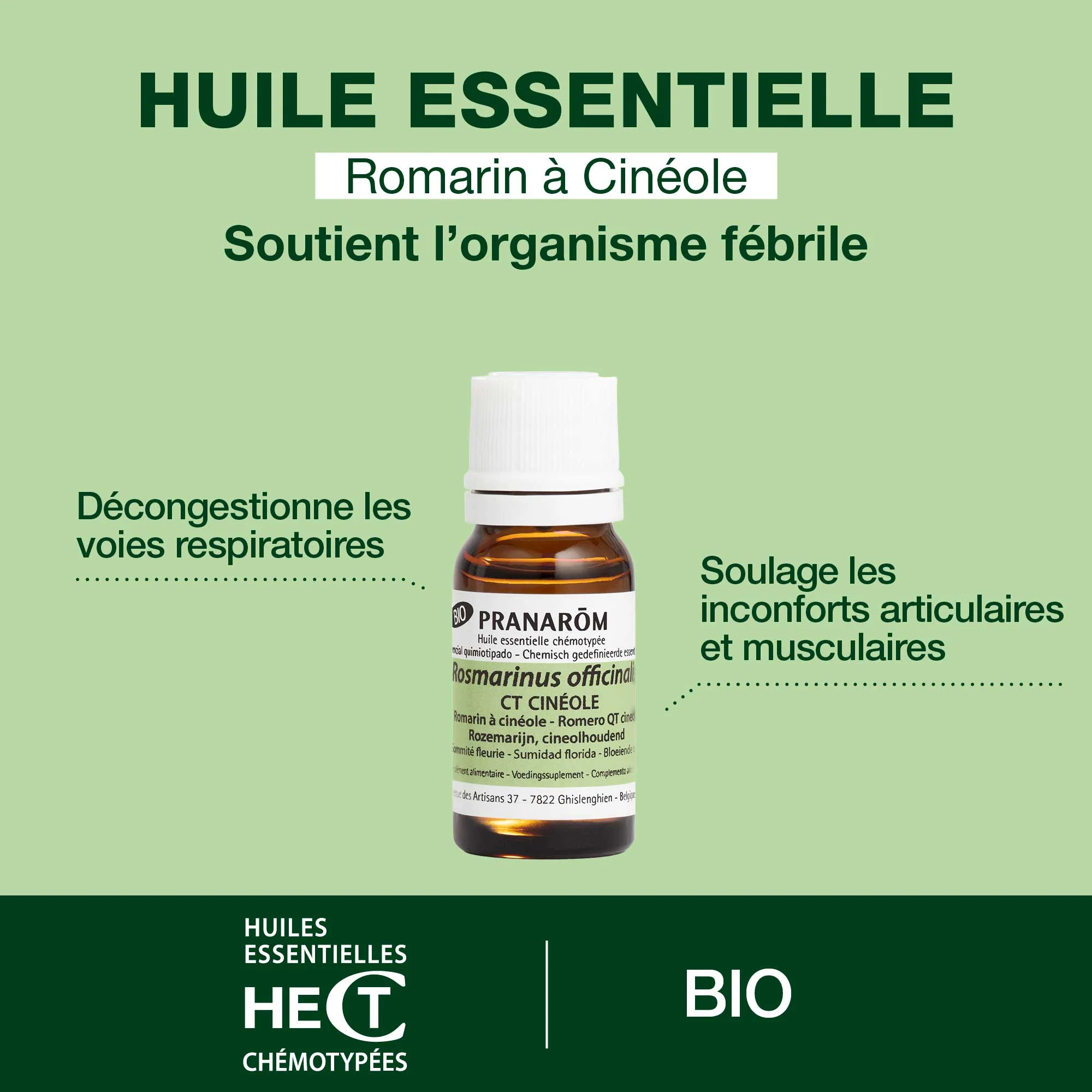 Huile Essentielle de Romarin à cinéole - Bio - Image 2