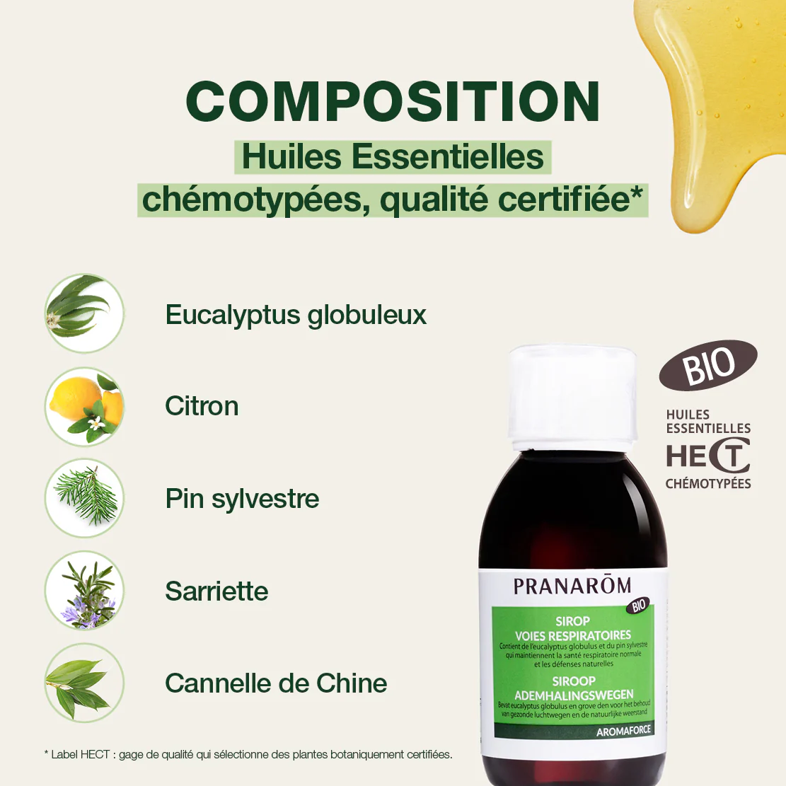 Sirop - Voies respiratoires - Bio - Image 4