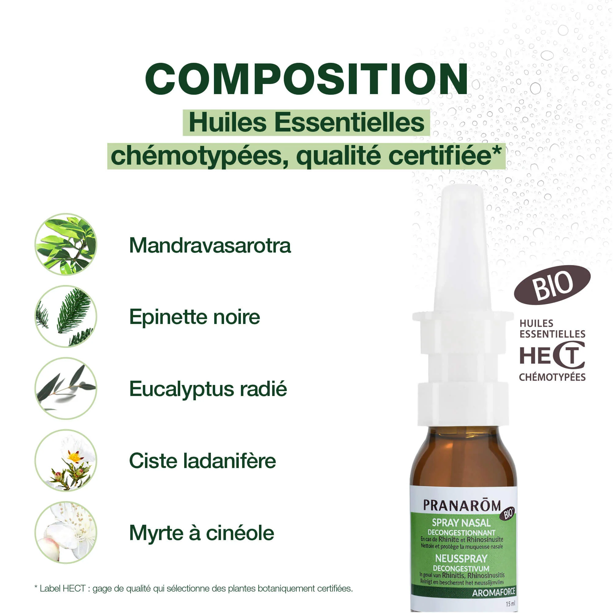 Spray nasal DM - Décongestionnant - Bio - Image 4