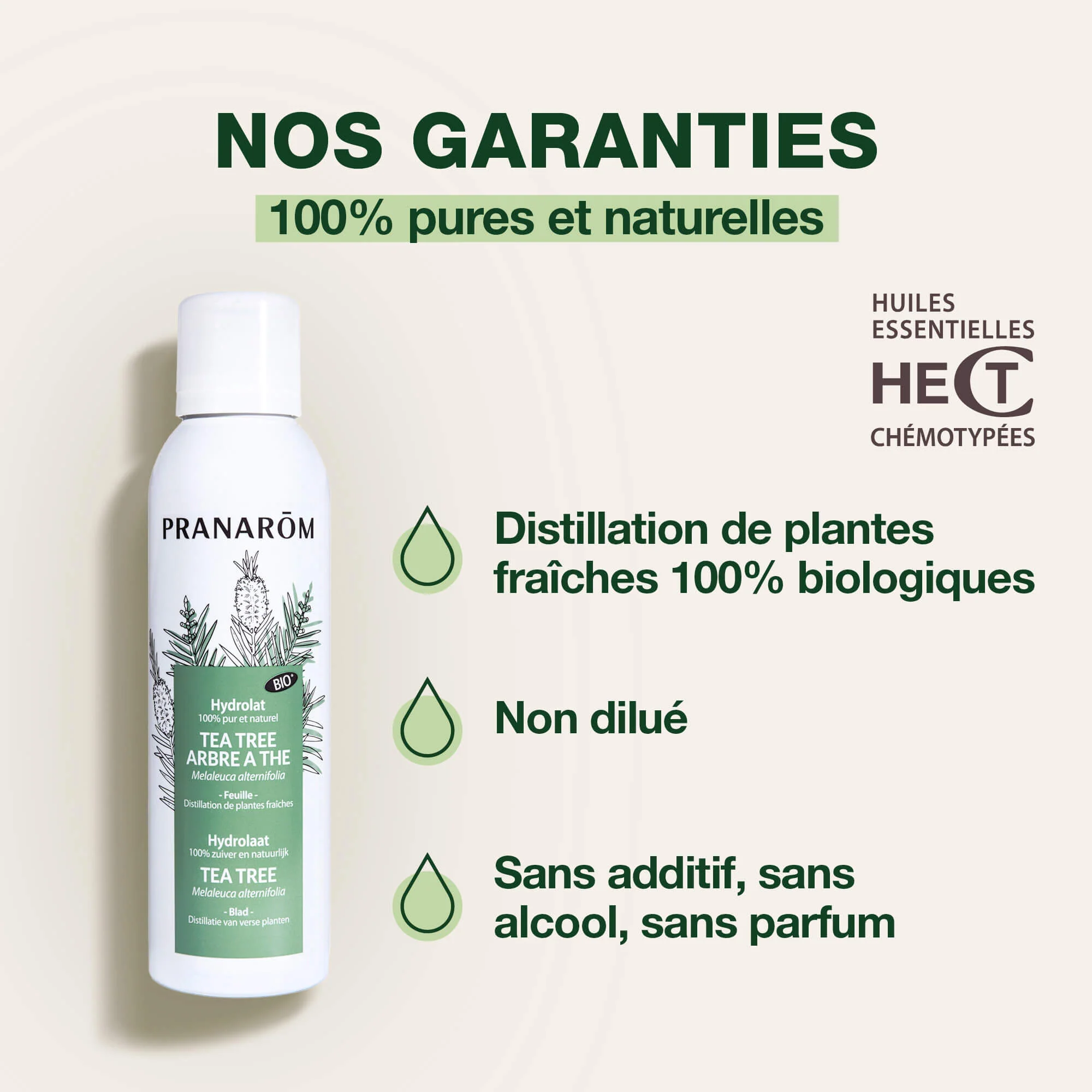 Hydrolat de Tea Tree - Arbre à thé - Bio - Image 3