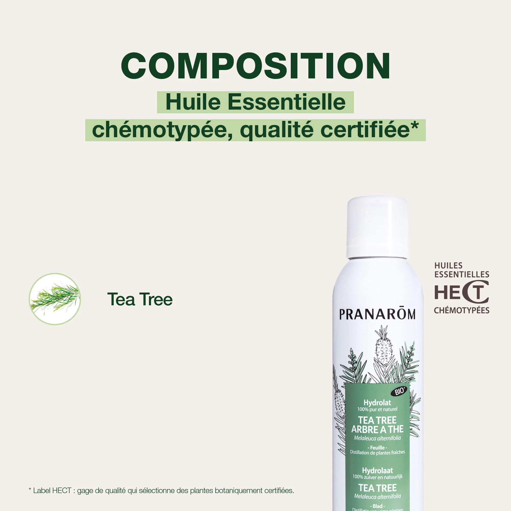 Hydrolat de Tea Tree - Arbre à thé - Bio - Image 4