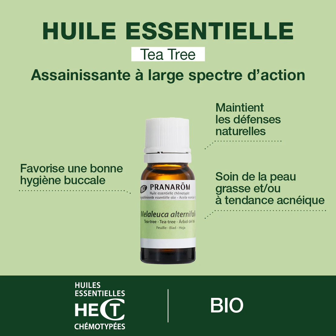 Huile Essentielle de Tea-tree - Bio - Image 2