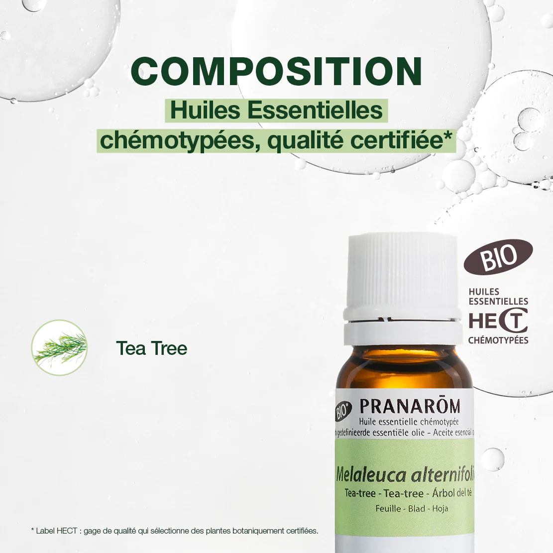 Huile Essentielle de Tea-tree - Bio - Image 4